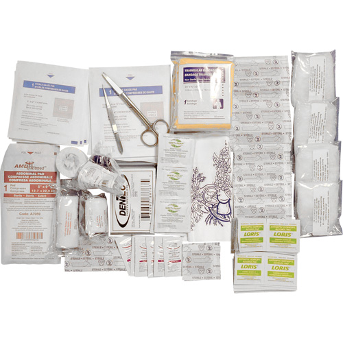 Trousse de premiers soins de base et recharge Shield, R&eacute;pond &agrave; la norme CSA Z1220-17 type 2 environnements &agrave; faible risque, Petit (2-25 travailleurs) Nuna Depot Inc.