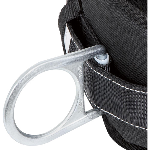 WB-6020-M Safety Positioning 2 Side D-Rings Belt with Padded Lumbar Support - Medium Nuna Depot Inc.