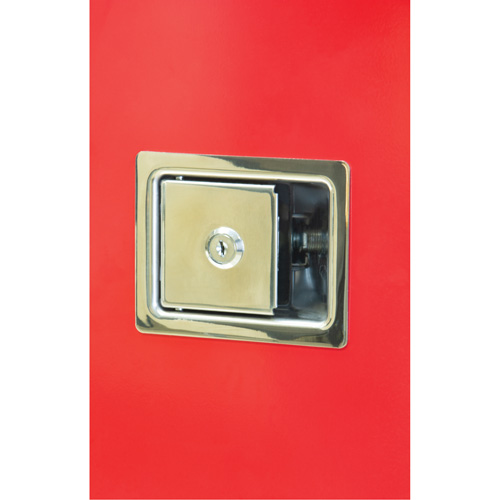 Heavy-Duty Outdoor Fire Extinguisher Cabinet, 14" W x 28" H x 10" D Nuna Depot Inc.