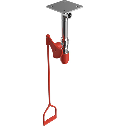 Drench Shower, Ceiling-Mount Nuna Depot Inc.