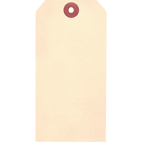 Manila Blank Tags, Cardstock, 1-3/8" W x 2-3/4" H Nuna Depot Inc.