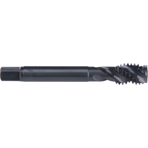 45° Spiral Flute Tap, High Speed Cobalt, 1/4"-20 Thread, 2-1/2" L Nuna Depot Inc.