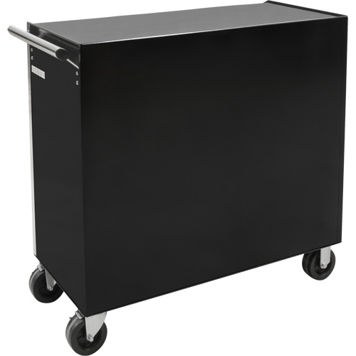 Industrial Tool Cart, 11 Drawers, 41" W x 18-3/4" D x 39-1/3" H, Black Nuna Depot Inc.