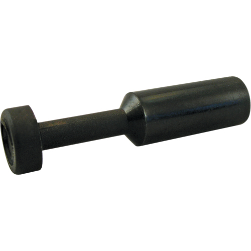 P.t.c. Plug Nuna Depot Inc.