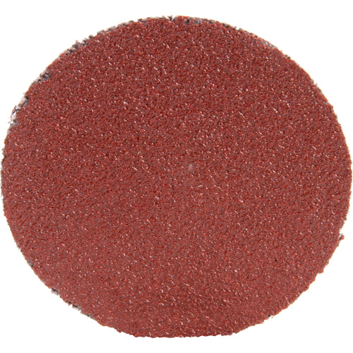 Roloc Disc 361F, 1-1/2" Dia., P100 Grit, Aluminum Oxide Nuna Depot Inc.