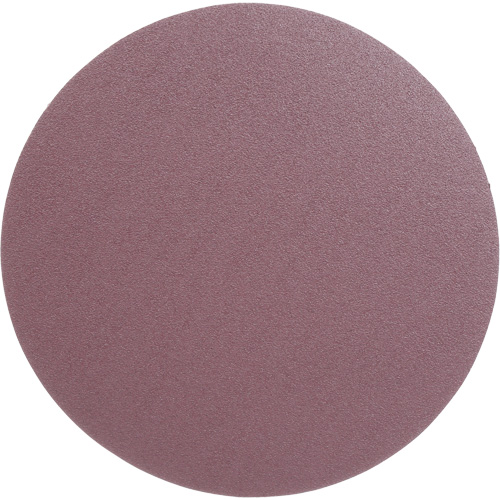PSA Cloth Disc 348D, 12" Dia., 60 Grit, Aluminum Oxide, X-Weight Nuna Depot Inc.