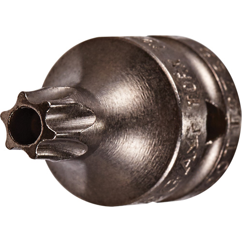 Embout &agrave; ins&eacute;rer, Torx inviolable, 8 x 3/4" lo, Prise 1/4" Nuna Depot Inc.