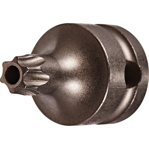 Embout &agrave; ins&eacute;rer, Torx inviolable, 25 x 1" lo, Prise 3/8" Nuna Depot Inc.