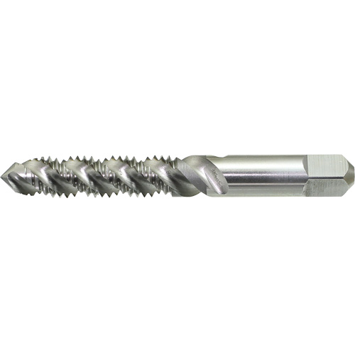 Taraud &agrave; main &agrave; cannelure spiral&eacute;e DRILLCO, Acier rapide, Filet 1/4"-20 Nuna Depot Inc.