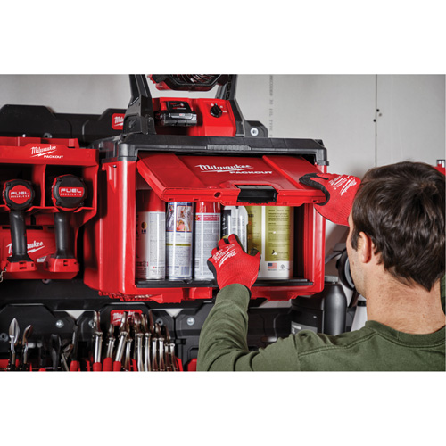 Armoire &agrave; outils Packout, 15" x 15" x 20", Noir/Rouge Nuna Depot Inc.