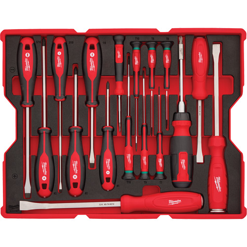 Jeu de tournevis et de leviers avec organisateur pour tiroirs PACKOUT, 17, Magn&eacute;tique Nuna Depot Inc.