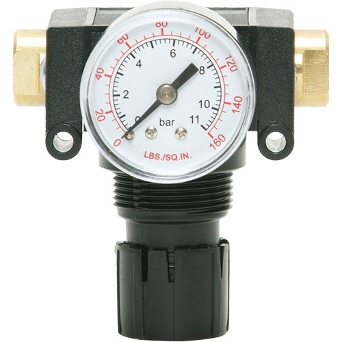 MODULAIR 200 Acetal Piston Regulator, 1/4" NPT, 150 PSI Max. PSI, In Line/Modular Nuna Depot Inc.