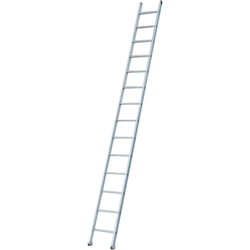 Industrial Heavy-Duty Extension/Straight Ladders, 8', Aluminum, 300 lbs., CSA Grade 1A Nuna Depot Inc.