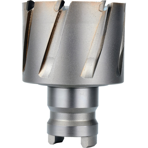 Fraise avec tenon &agrave; changement rapide Drive Hawg, Diam&egrave;tre de 2", Acier, Profondeur de la coupe de 1" Nuna Depot Inc.
