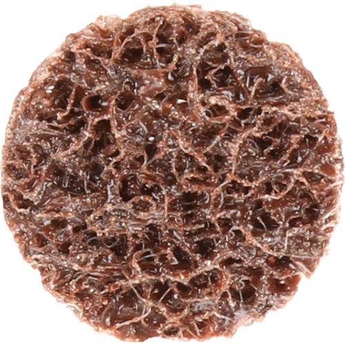 Standard Abrasives Quick-Change Surface Conditioning Disc, 3/4" Dia., Coarse Grit, Aluminum Oxide Nuna Depot Inc.