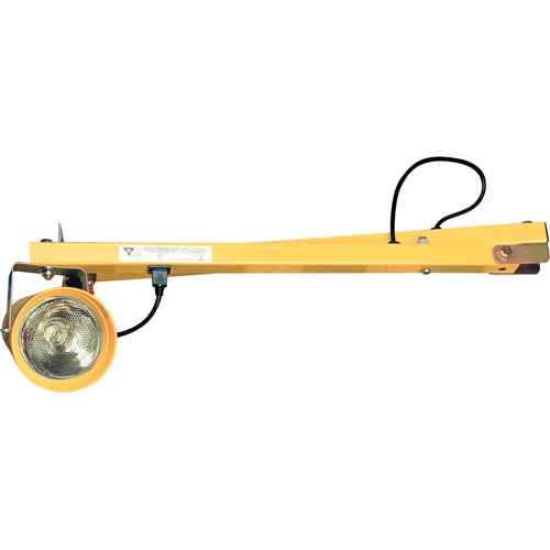 Lampes pour les quais, Bras 60", Ampoule Incandescente, Polycarbonate Nuna Depot Inc.