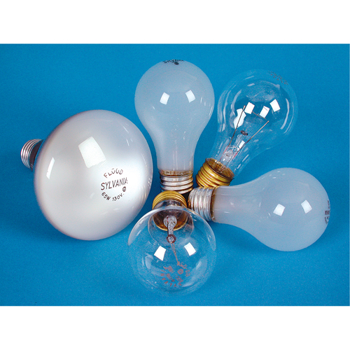 LAMPE INCANDESCENTE,25W,130V,GIVREE,2/PQT Nuna Depot Inc.
