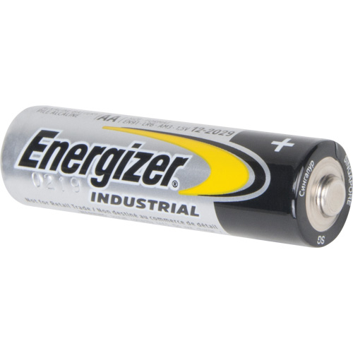 Alkaline Industrial Batteries, AA, 1.5 V Nuna Depot Inc.