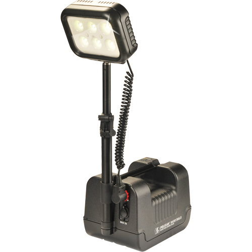 9430 Remote Area Lighting Systems, LED, 3000 Lumens, Plastic Housing Nuna Depot Inc.