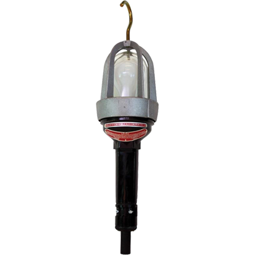 Baladeuses pour emplacements dangereux, DEL, 20 W, 2400 Lumens Nuna Depot Inc.