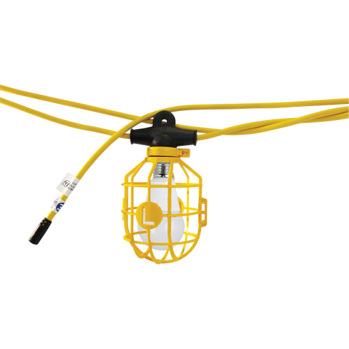 Guirlande &eacute;lectrique &agrave; DEL avec connecteur, 10 Lumi&egrave;res, 100' lo, Boîtier en Plastique Nuna Depot Inc.