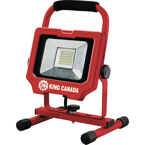 Work Light, LED, 20 W, 3000 Lumens, Aluminum Housing Nuna Depot Inc.