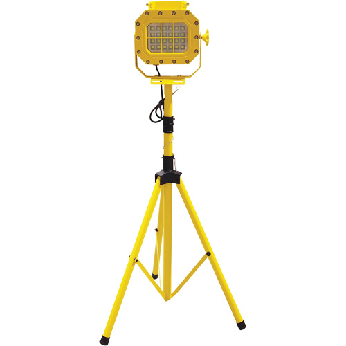 Explosion Proof Floodlight with Tripod, LED, 40 W, 5600 Lumens, Aluminum Housing Nuna Depot Inc.