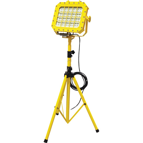 Explosion Proof Floodlight with Tripod, LED, 40 W, 5600 Lumens, Aluminum Housing Nuna Depot Inc.
