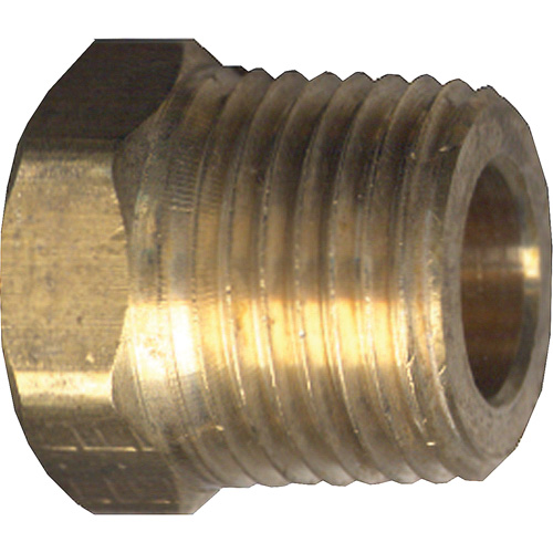 Hex Head Cored Plug, Pipe, 1/4" Dia., Brass Nuna Depot Inc.