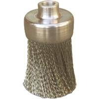 Brosses plates, rondes ou Roto Nuna Depot Inc.