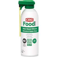 Water-Based Silicone Lubricant, Aerosol Can Nuna Depot Inc.