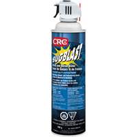 Bug Blast Insecticide, 397 g, Solvent Base Nuna Depot Inc.