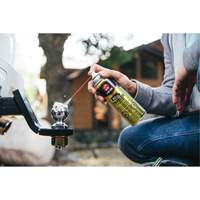 Gel lubrifiant pour remorque 3-in-One, Canette a&eacute;rosol Nuna Depot Inc.