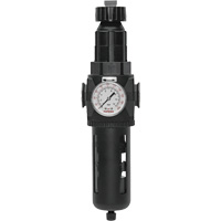 Filtre/r&eacute;gulateur Modulair 400 avec vidange manuelle, 3/4" NPT, 200 psi, Capacit&eacute; de 9,1 oz liq. Nuna Depot Inc.