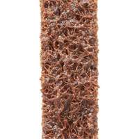 Scotch-Brite Surface Conditioning File Belts Nuna Depot Inc.
