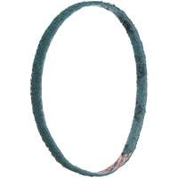 Scotch-Brite Surface Conditioning File Belts Nuna Depot Inc.