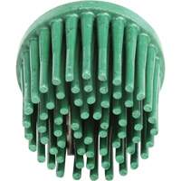 Disques bristle Roloc, Grain 120, 1" dia. Nuna Depot Inc.