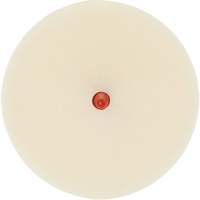 Scotch-Brite Moulding Adhesive & Stripe Removal Disc, 7501, 4" Dia. Nuna Depot Inc.