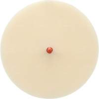 Scotch-Brite Moulding Adhesive and Stripe Removal Disc 7502, 6" Dia. Nuna Depot Inc.