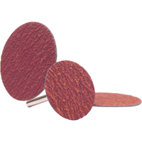 Lock Back Sanding Discs