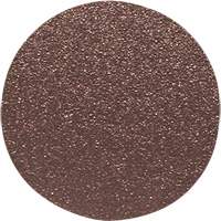 Disque de ponçage pour le bois, 12" dia., Grain 60 Nuna Depot Inc.