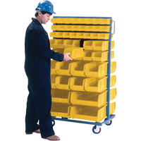 Double-Sided Mobile Bin Rack, Double-sided, 96 bins, 36" W x 24" D x 63" H Nuna Depot Inc.