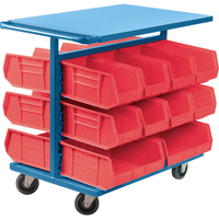 Bin Cart with Bins, Double-sided, 20 bins, 24" W x 38-1/2" D x 36-1/2" H Nuna Depot Inc.