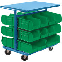 Bin Cart with Bins, Double-sided, 20 bins, 24" W x 38-1/2" D x 36-1/2" H Nuna Depot Inc.