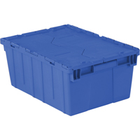 Flipak&reg; Polyethylene Plastic (PE) Distribution Containers, 21.9" x 15.2" x 9.3", Blue Nuna Depot Inc.
