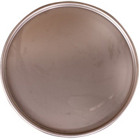 Steel Drum Lid Nuna Depot Inc.
