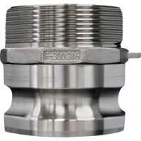 Cam & Groove Coupling, Stainless Steel, Type F, 3/4", Male NPT, 250 PSI Nuna Depot Inc.