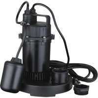 Thermoplastic Submersible Sump Pump, 2560 GPH, 115 V, 4.6 A, 1/3 HP Nuna Depot Inc.