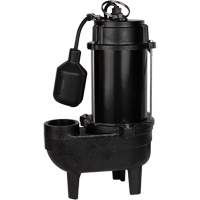 Cast Iron Sewage Pump, 120 V, 9.5 A, 6000 GPH, 1/2 HP Nuna Depot Inc.
