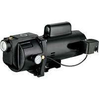 Dual Voltage Cast Iron Shallow Well Jet Pump, 115 V/230 V, 1260 GPH, 1 HP Nuna Depot Inc.